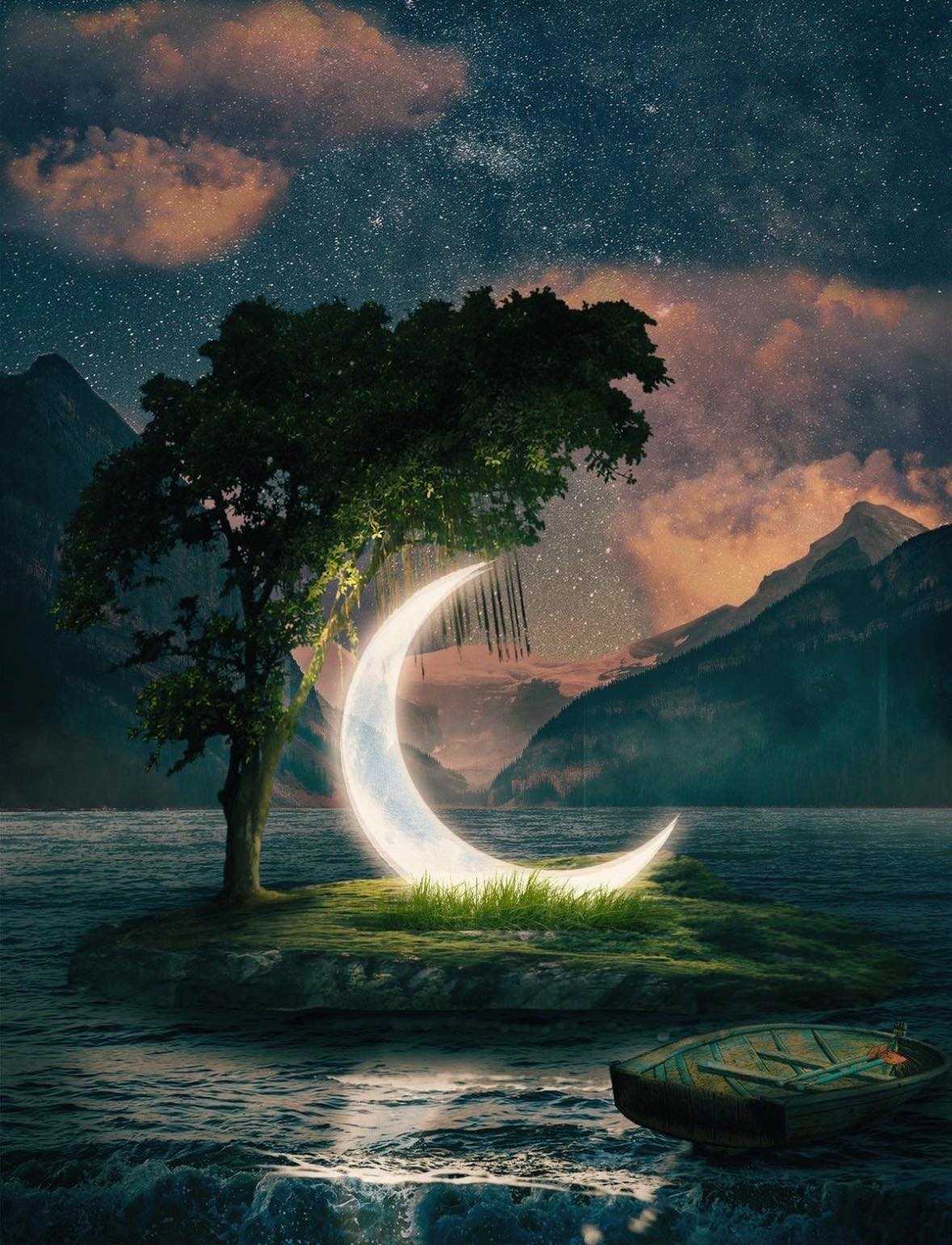 დაზიანებული პლანეტების დამუშავება