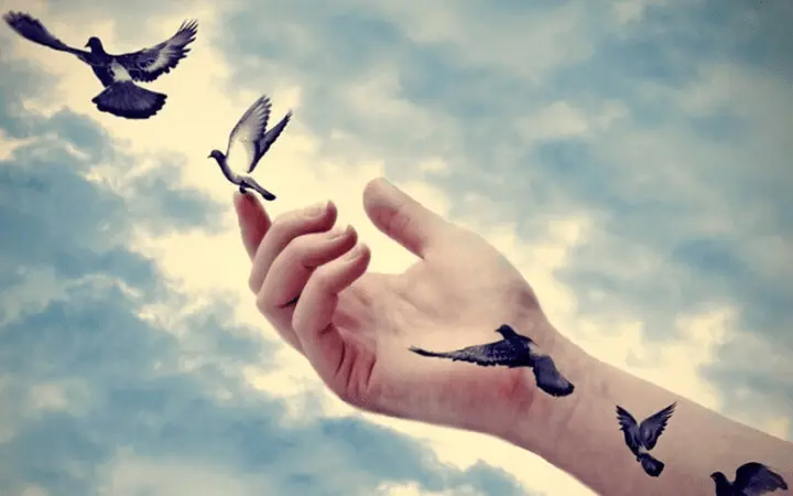 ჰოოპონოპონო