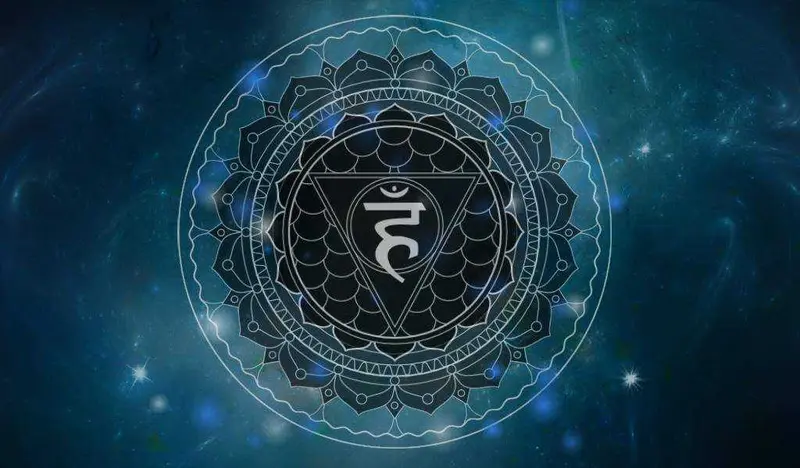 მე-5 ჩაკრა ვიშუდჰა