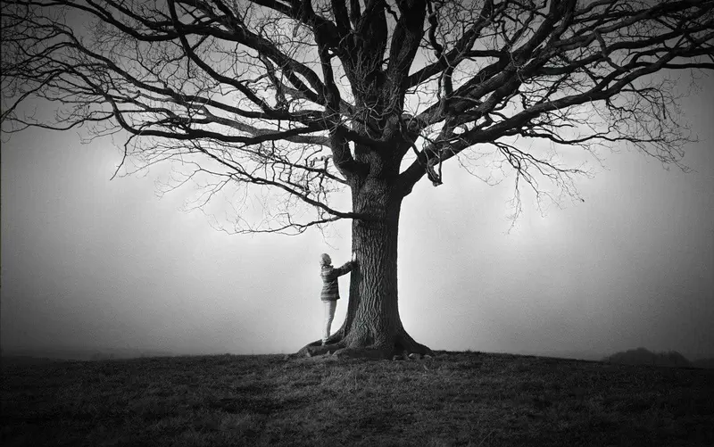 დენდროთერაპია – ხეებით მკურნალობა